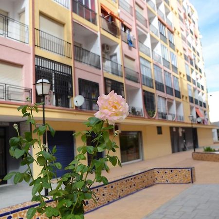 Econom Studio La Loma Apartment Torrevieja Ngoại thất bức ảnh